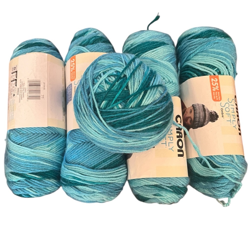 Caron Simply Soft Yarn in Blue and Teal